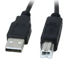 XTECH XTC-303 10FT USB 2.0 A-MALE TO B-MALE MOLDED