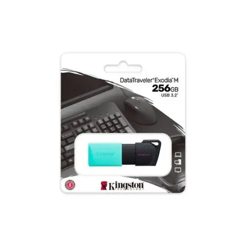 USB KINGSTON USB 3.2 256GB DATA TRAVELER EXODIA